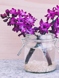 诚信经营的ddos页端