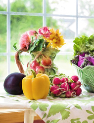 DDOS压力测试网页端